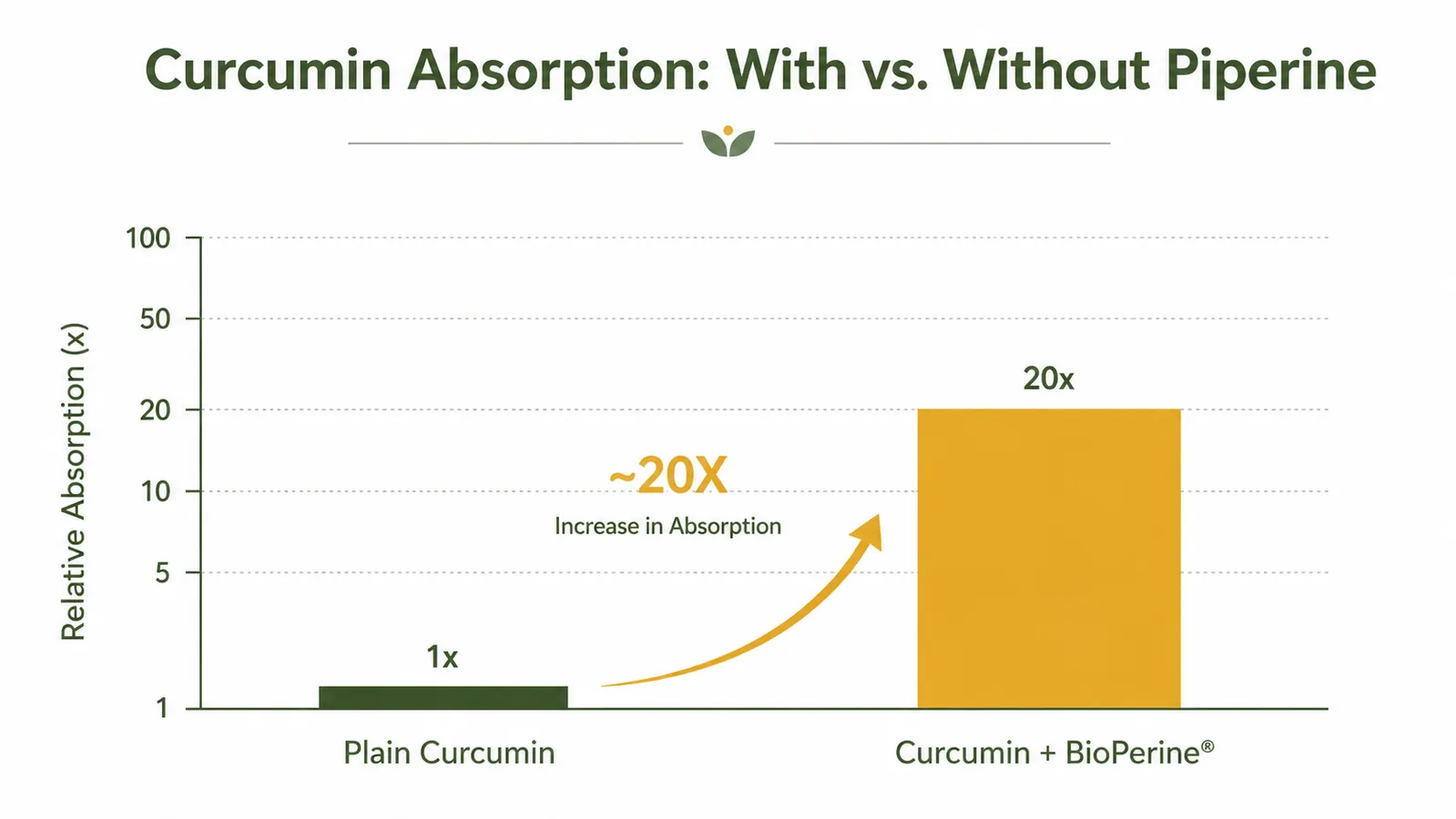 Simple chart comparing curcumin absorption with and without piperine, showing a significant increase with BioPerine